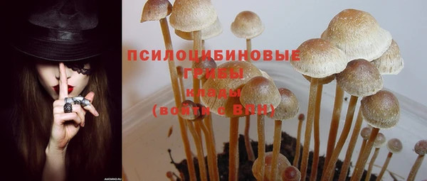 spice Каменногорск