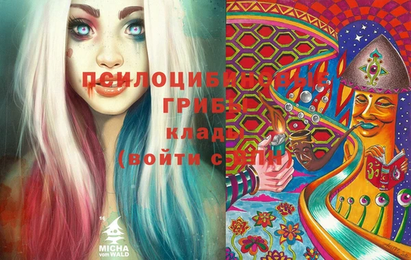 spice Каменногорск