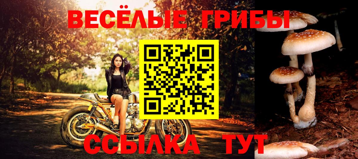 Бошки Шишки  Копейск  Вход с VPN  ГАШ  Мефедрон   ГАШИШ  Кокаин 