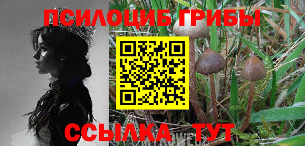 Галлюциногенные грибы ЛСД Копейск