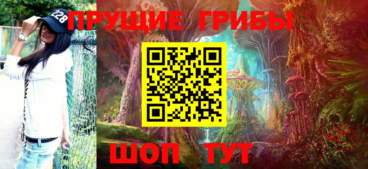 Галлюциногенные грибы Psilocybe  Вход с VPN  Копейск  Псилоцибиновые грибы Cubensis 